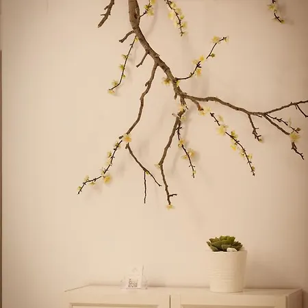 Casa Catalina 招待所